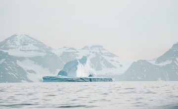 So, the Arctic Ocean has chlamydia now. We hate 2020 so far